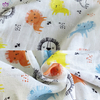 CT119 100%Cotton printing baby blanket made in China.