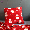Coral fleece blanket and pillow. BK141